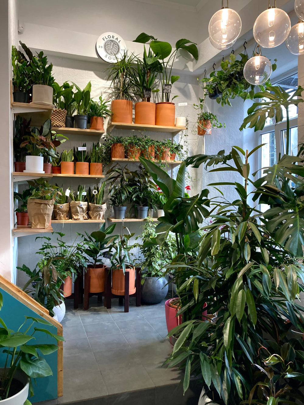 IMG 4135 scaled image