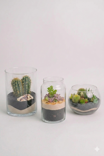 Set Mini Sere