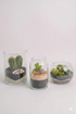 Set Mini Sere