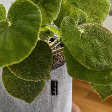 TRENDCOVER Felt