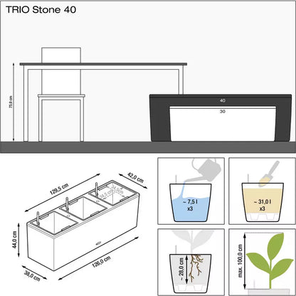 TRIO Stone