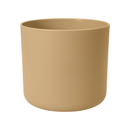 B.for soft round