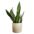 Colour gradient round