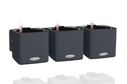 Green Wall CUBE Color 14