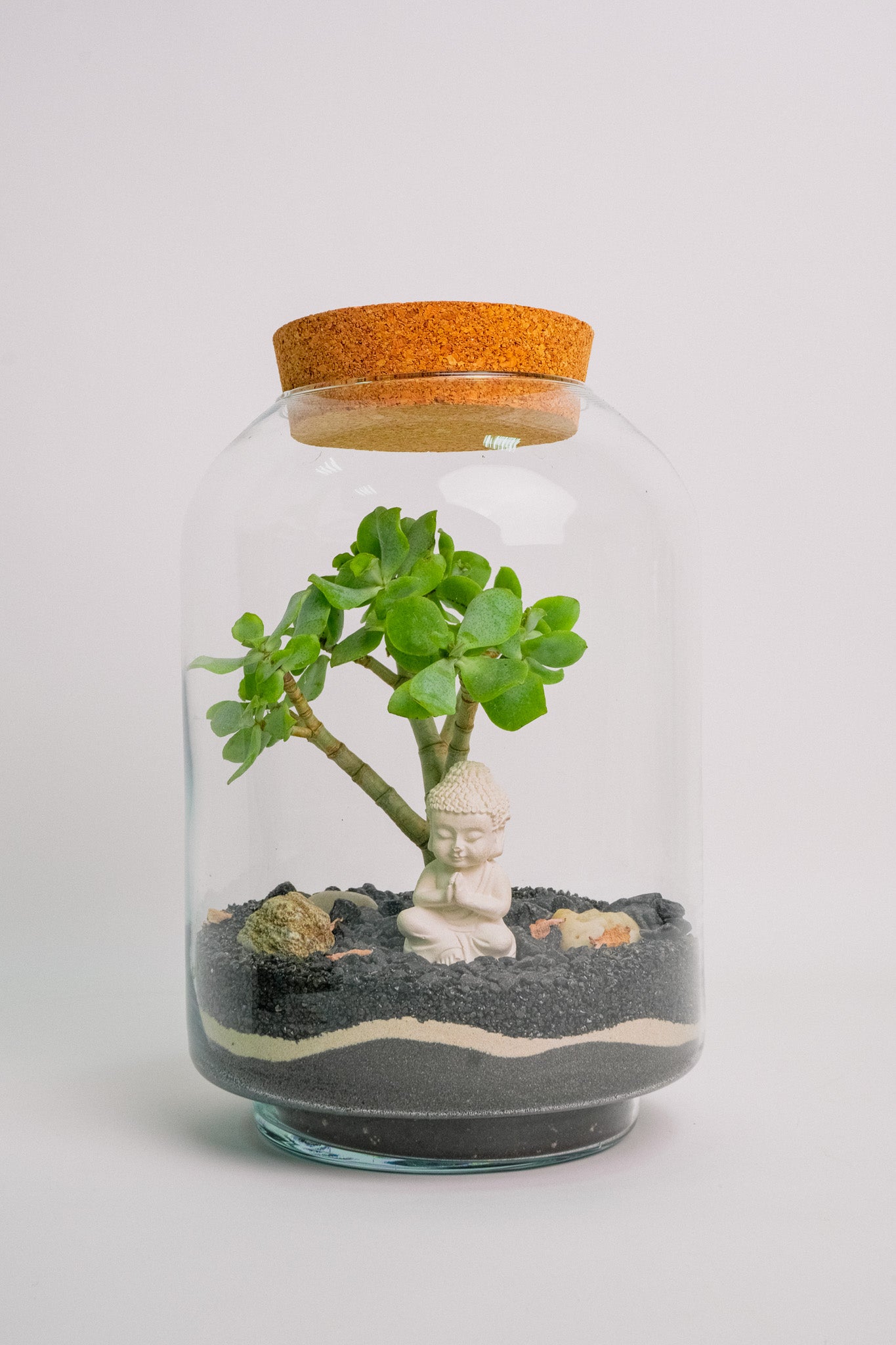 Florariu "Buda" - Image 1