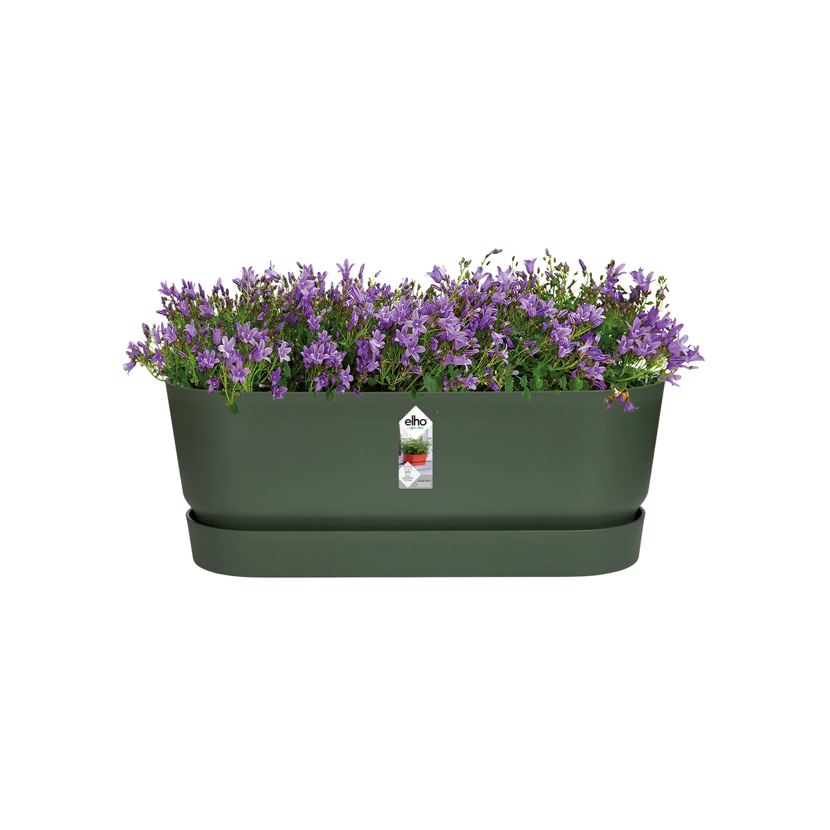 Greenville trough long