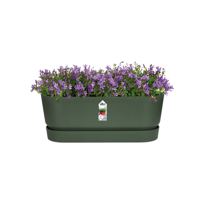 Greenville trough long