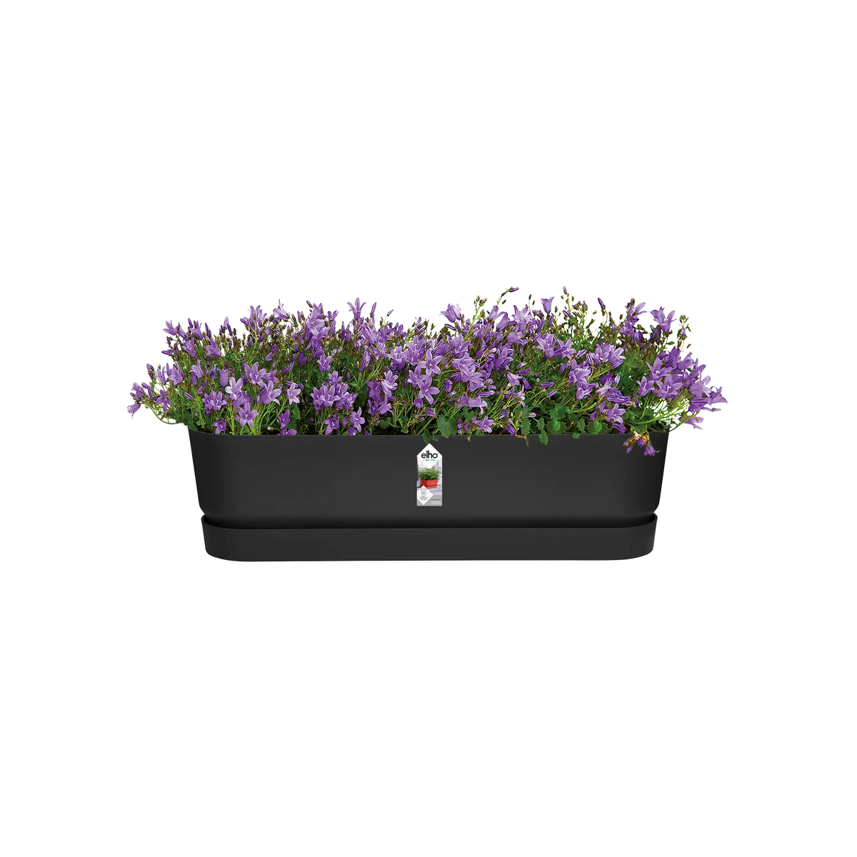 Greenville trough long