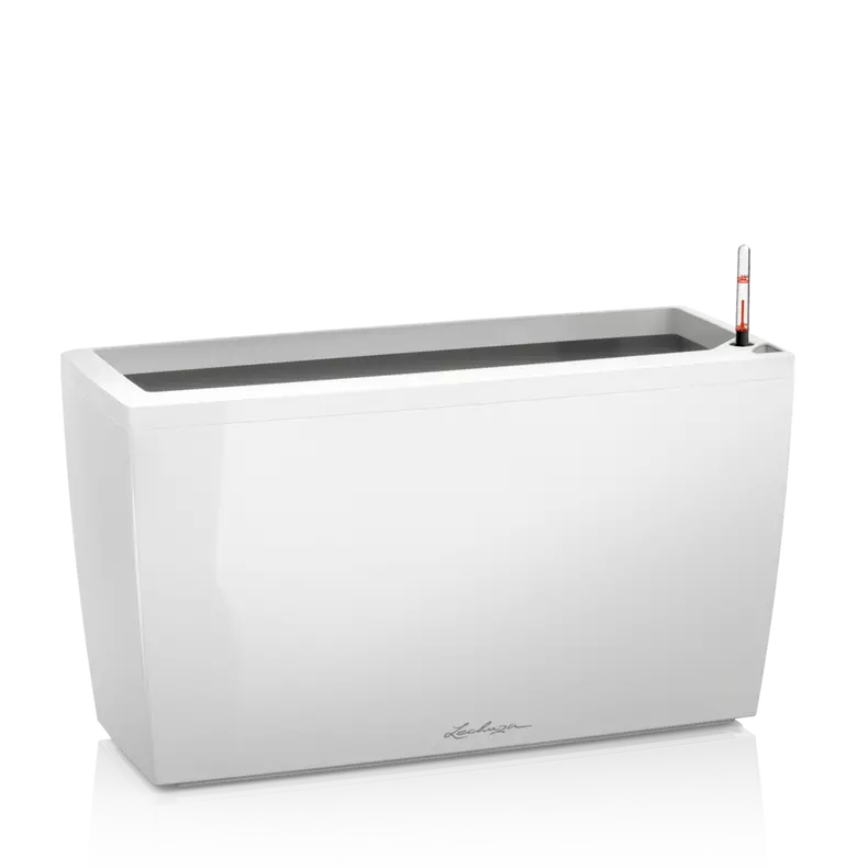 CARARO Premium