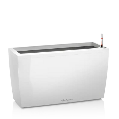 CARARO Premium