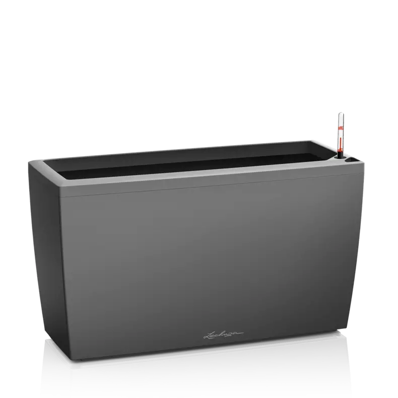 CARARO Premium