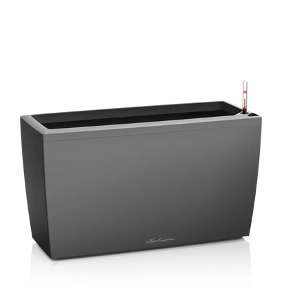 CARARO Premium