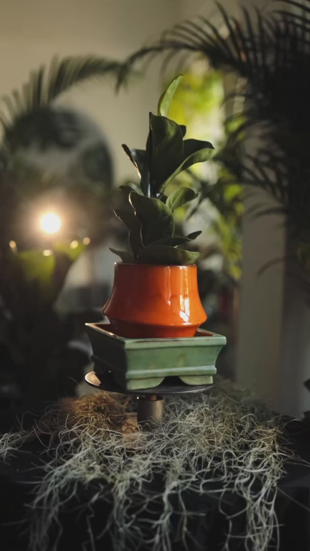 Încărcați videoclipul: 