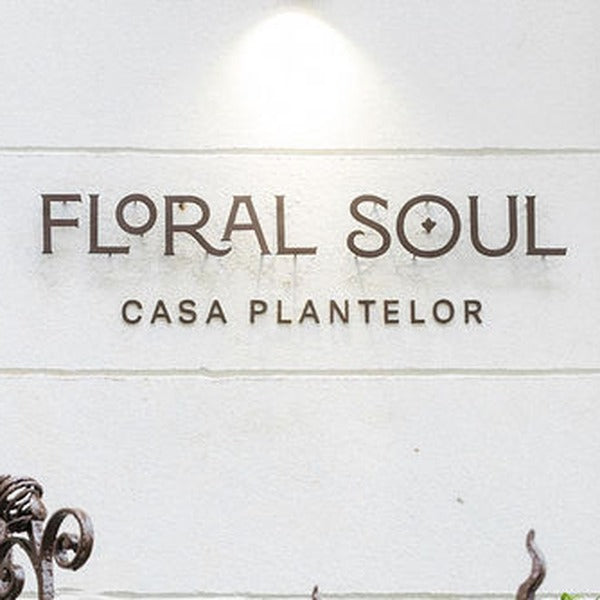 Tur ghidat la Casa Plantelor by Floral Soul
