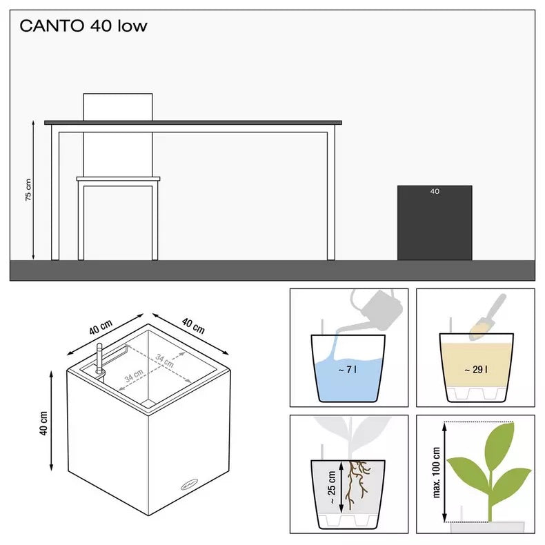 CANTO Premium
