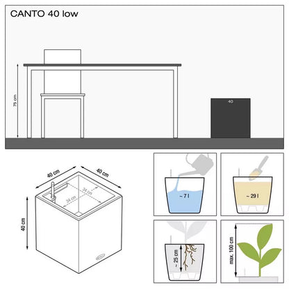 CANTO Premium